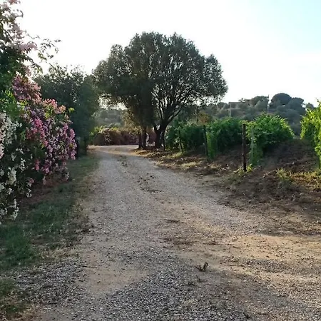 Agriturismo Muristene-3